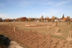 Ausgleichsflächen Steinkirchen