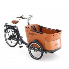 Lastenpedelec Babboe